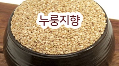 햇찹쌀5kg ✨꿀팁🍯 후기! 놓치면 손해