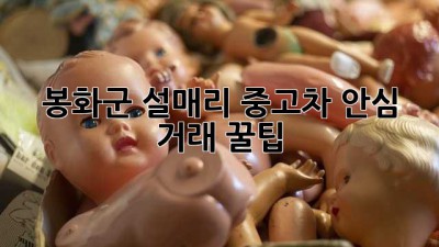봉화군 설매리 중고차 안심 거래 꿀팁 🚗✨