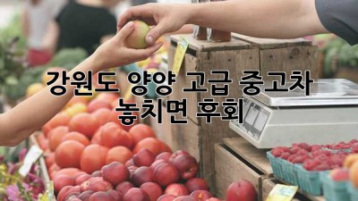 강원도 양양 고급 중고차, 놓치면 후회! 🚗💨