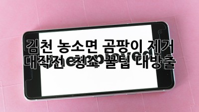 🏡 김천 농소면 곰팡이 제거 대작전! ✨ 청소 꿀팁 대방출